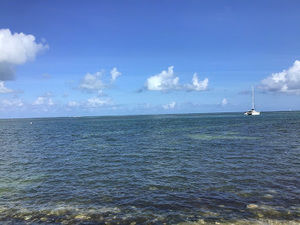 Meet your Posher, Daylin